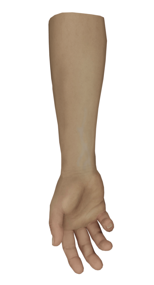 3D arm reaching downward